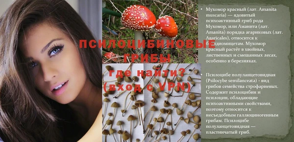 гашишное масло Аркадак
