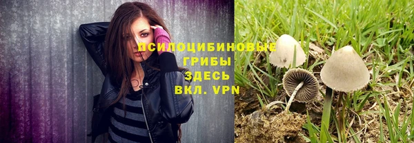 бошки Армянск