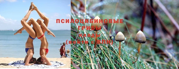 гашишное масло Аркадак