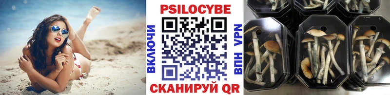 Галлюциногенные грибы мухоморы купить Мосальск